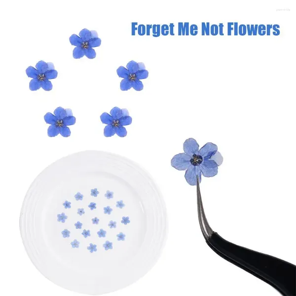 Flores decorativas 20pcs olvídame no seca cabeza epoxi joya de resina pegatinas de arte de uñas tarjetas de teléfono llenando la decoración facial de bricolaje