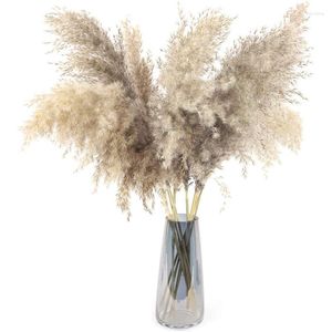 Fleurs décoratives 20 Pcs Herbe De Pampa Grand 23 Pouces De Hauteur Naturel Sec Artificiel Pampa Décor Fluffy Reed Bouquet De Mariage Boho Maison Fleur