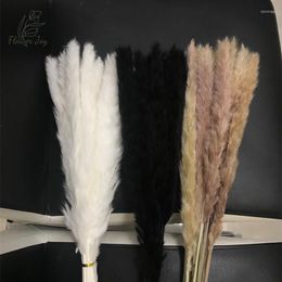 Decoratieve Bloemen 20Pcs Pampas Gras Natuurlijke Gedroogde Onsterfelijkheid Boeket Primaire Kleuren Kleine Riet Echte Planten Bruiloft Boho Woondecoratie