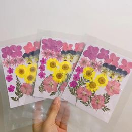 Decoratieve bloemen 22-stcs/ingesteld gedroogd bloemenbladplant Herbarium voor sieraden Bookmark Postcard Pro HET TELEFOON Case Uitnodiging Card Diy Design-7