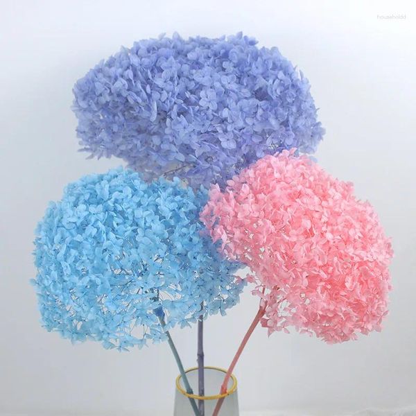 Fleurs décoratives 25cm tête colorée hortensia préservée Anna avec tige petite feuille véritable éternel matériel de bricolage fait à la main décor à la maison