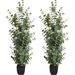 Flores decorativas 2 Packs Eucalipto artificial Árboles Altos Grandes plantas de seda de imitación grande para decoración de la oficina en el hogar Planta interior