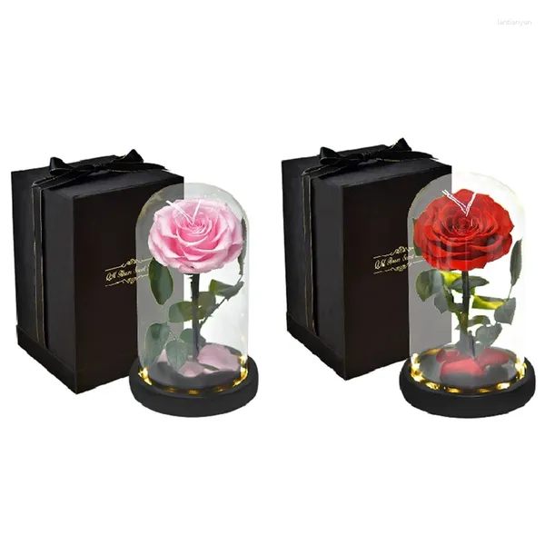 Fleurs décoratives 2PC Rose qui dure éternellement fleur préservée dans une lampe à dôme en verre pour la boîte-cadeau de la fête des mères de la Saint-Valentin rose rouge