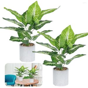 Fleurs décoratives 2 pièces plantes de palmier artificielles en Pot Faux avec Pot gris Faux pour salon chambre bureau décoration intérieure