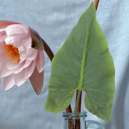 Fleurs décoratives 2 pièces feuilles tropicales artificielles tiges de feuilles d'alocasia fausses plantes réalistes pour Vase
