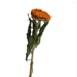 Flores decorativas, 2 uds., girasoles secos originales naturales, peluche Real para el hogar, boda, decoración DIY