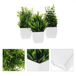 Decoratieve bloemen 3 pc's gesimuleerde potplant kunstmatige planten indoor nep met bonsai mini decor pp ornamenten kantoor