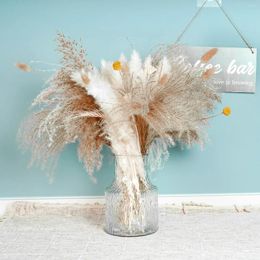 Fleurs décoratives 30 / 40pcs / lot Pampas blanc Pampas Grass Meuffy Room Phragmites Décoration Natural Tail séché Bouquet Boho Home Decor