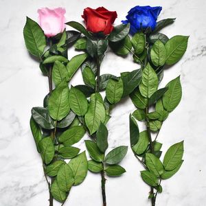 Fleurs décoratives 30 cm Fleur de rose préservée Flores barbelées pour la Saint-Valentin Gift Marriage Marriage Home Party Decoration