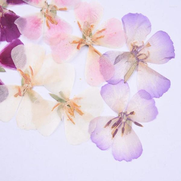 Fleurs décoratives 30pcs 4-5 cm