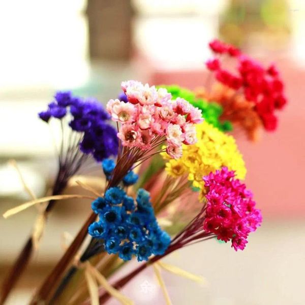 Fleurs décoratives 30pcs Décor de gâteau petit bouquet séché naturel Dry Resin Resin remplissage mini-étoile Mariage de fleurs conservées