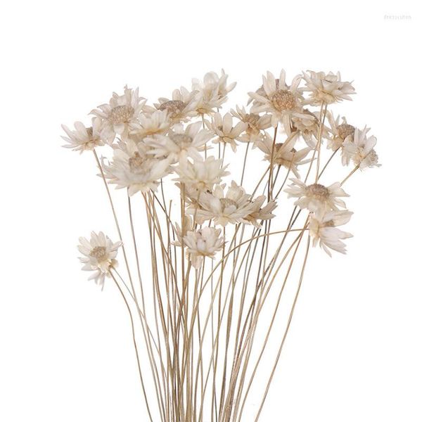 Fleurs décoratives 30 pcs Fleur Séchée Brésilienne Petite Étoile Gypsophile Chrysanthème Art Décor DIY HEE889