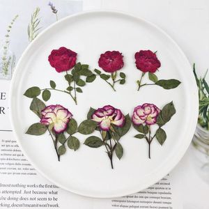 Fleurs décoratives 30 pièces séchées pressées rouge/violet Rose fleur feuilles plante herbier pour bijoux carte postale Po Case signet carte d'invitation