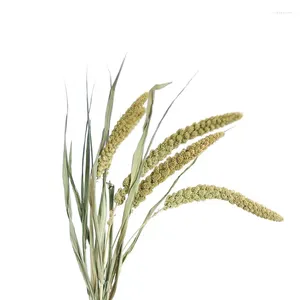 Fleurs décoratives 30pcs Millet Flower Christmas Decor Real Pampas Grass Natural Séchée Ornements de mariage