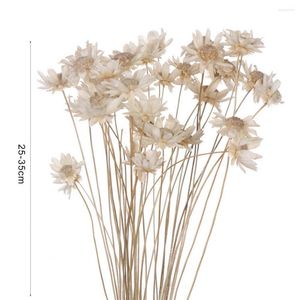 Decoratieve bloemen 30 stcs Praktisch gedroogd boeket Immortale chrysanthemum delicate natuurlijke planten behouden bloemendiy