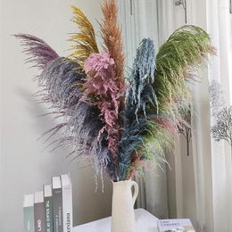 Decoratieve Bloemen 32-34" 80cm Pampas Gras Natuurlijk Riet Bruiloft Gedroogde Bloem Grote Beige Pluizige Ceremonie Valentijnsdag