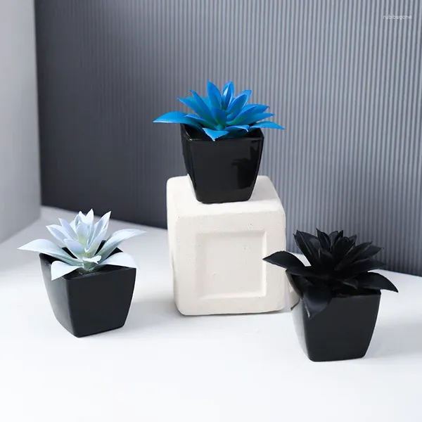 Fleurs décoratives 3pcs 8 cm (h) Succulent Stone Lotus Small Plante en pot.Maison de salon à la maison Placement de décoration de table