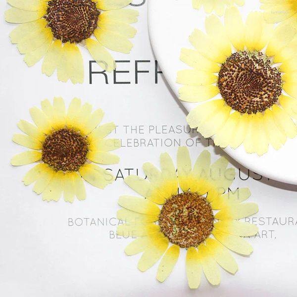 Fleurs décoratives 4-7cm / 12pcs Real Garland Chrysanthemum Fleur pressée Big Daisy Diy Drop Glue Téléphone Table Table de la casse LAMMARM PO Cadre PO