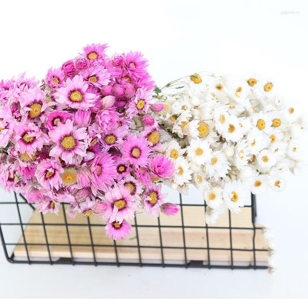 Dekorative Blumen, 40 g, Rhododendron, konservierte Blumen, kleiner kleiner Sternstrauß, natürliche Pflanzen, konservierte Blumen, Hochzeit, Heimdekoration