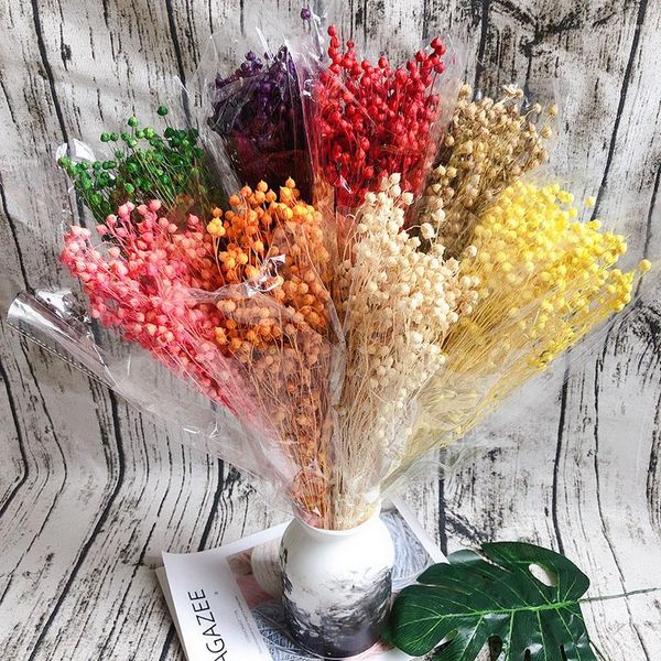 Fleurs décoratives 40g Rich Bean Haricots Acacia Naturel Bouquet Sec Préservé Fleur Artificielle Mariage Nordique Maison Mur Guirlande Décor