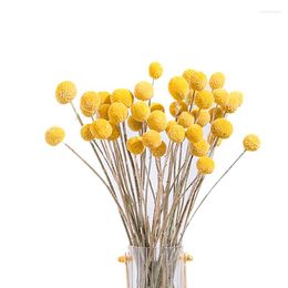 Decoratieve bloemen 40 -stks gedroogde Craspedia Billy Button Balls Flower Bouquet voor arrangementen Wedding Home Decor