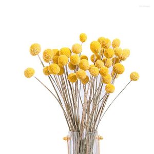 Decoratieve bloemen 40 -stks gedroogde Craspedia Billy Button Balls Flower Bouquet voor arrangementen Wedding Home Decor