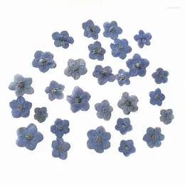 Fleurs décoratives 40 pièces de minuscules pétales de myosotis pressés et séchés naturels avec différentes couleurs et formes pour les ongles de bijoux en résine artisanale