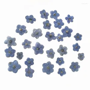 Decoratieve bloemen 40 stuks natuurlijke kleine gedroogde geperste vergeet-mij-nietje bloemblaadjes met verschillende kleuren en vormen voor ambachtelijke hars sieraden nagels