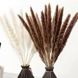 Decoratieve bloemen 44 cm Pampas Grass Natuurlijk Riet Gedroogde bloem Beige Fluffy Ceremony Valentijnsdag Wedding Decoratie Modern Home