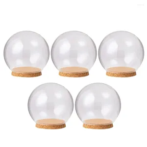 Flores decorativas 5 pcs navideño nieve globo de vidrio contenedor cubierta de flores preservada