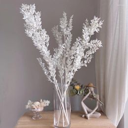 Fleurs décoratives 50-60 cm / 50g Grands bouquets de Ruscus séché blanc