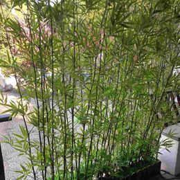 Fleurs décoratives 50 pièces couronnes artificielles arbres d'extérieur en pot bambou feuilles en plastique grande taille