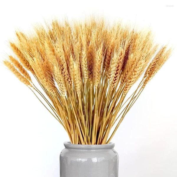 Fleurs décoratives 50 tiges décor de tiges de blé séchées naturelles pour la maison cuisine mariage de noël