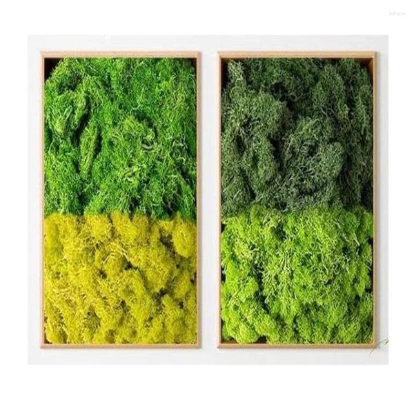 Fleurs décoratives 500g / 1000g Mini paysage de vie éternelle Fake Grass Moss Artificial Green Plantes Home Garden El Tofoopoop Decor