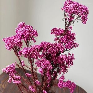 Fleurs décoratives 50g Naturel Millet Fruit Fleur Séchée Artificielle Pour La Décoration De Mariage Saint Valentin Idées Cadeaux Décor De Pâques 2023 Pampa