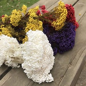 Fleurs décoratives 50g Naturel Séché Frais Conservé Millet Fleur DIY Matériel Bougie Résine Éternelle Sec Maison Mariage Boho Décor