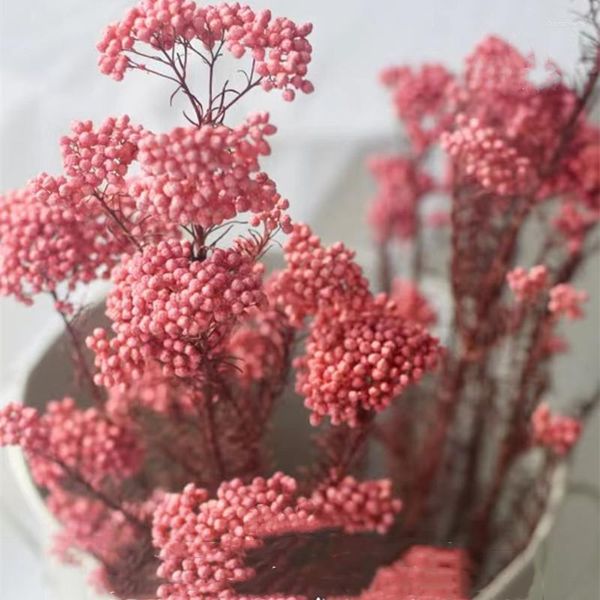 Fleurs décoratives 50g naturel millet fruits séchés fleur automne décor automne décorations de noël pour la maison 2023 pampa artificielle