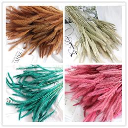 Fleurs décoratives 50pcs herbe séchée pennisetum tail foin de foin pastoral décor df233