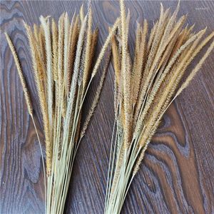 Fleurs décoratives 50pcs Kirin Grass séchés séchés Pampas pour les décorations de fête de mariage Arrangement cadeau de bouquet salon décor de la maison