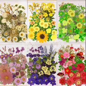 Flores decorativas 50 piezas herbario de plantas prensadas secas mixtas para joyería postal tarjeta de invitación caja de teléfono ArtCraft Making 7 colores Pick