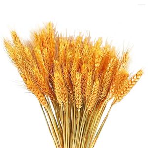 Fleurs décoratives 50pcs Oreille de blé séchée naturelle bouquet boho décoration intérieure artificielle pour la cuisine de cuisine artisanale bricolage