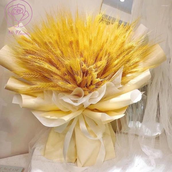 Fleurs décoratives 50pcs bouquet de pointes de blé séchées naturelles pour les affaires de magasin organiser de véritables oreilles d'or préservées d'ornements de maison de bricolage