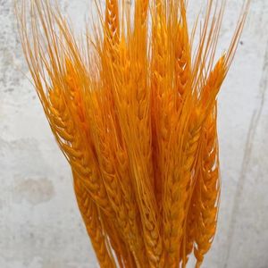 Flores decorativas 50PCS Flor de oreja de trigo natural seca para la decoración del banquete de boda Ideas de regalos de San Valentín Nupcial artificial