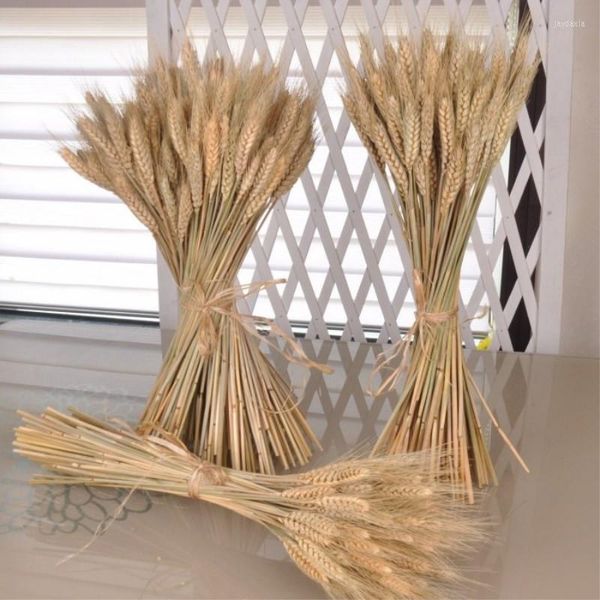 Decorative Flowers 50PCS Wheat Natural Dried Centerpieces For Weddings Mother's Day Gifts Artificial Outd