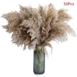 Fleurs décoratives 50x fleur séchée naturelle petit roseau vraie plante herbe de Pampas famille bricolage Bouquet de décoration de fête de mariage