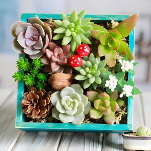 Fleurs décoratives 5pc Élégance moderne plantes succulentes à la maison décoration table à manger tricot accessoires de bonsaï affluxés mariage artificiel