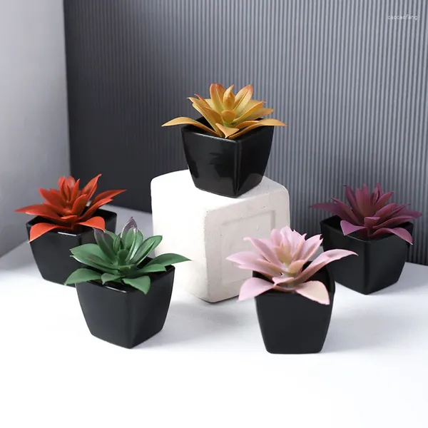 Fleurs décoratives 5pcs 8 cm (h) Succulent Stone Lotus Small Plante en pot.Maison de salon à la maison Placement de décoration de table