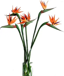 Fleurs décoratives 5pcs Bird artificiel de paradis 22 pouces fausse verdure simulation de simulation en soie