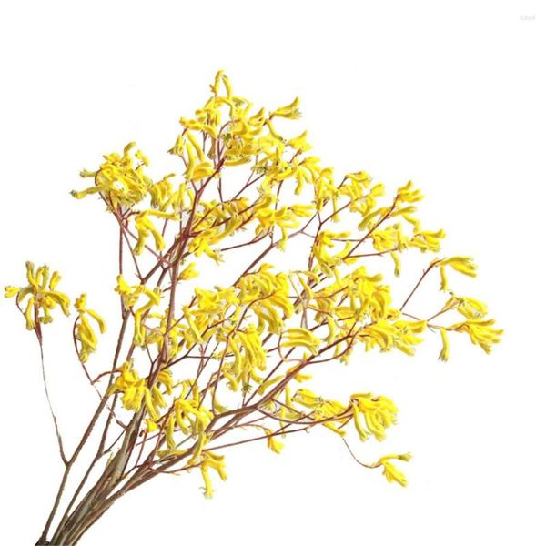 Fleurs décoratives 5 pièces décor de noël griffe kangourou Bouquets de fleurs immortelles plantes naturelles mourrant bouquet pour Hpme jaune