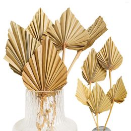 Flores decorativas 5 piezas de palma seca hojas de palma boho hoja de ventiladores naturales con tallo para el jarrón la oficina de bodas de la fiesta de la fiesta decoración de la pared del hogar